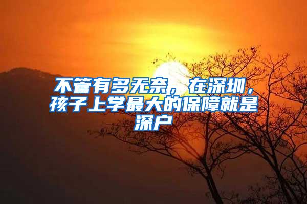 不管有多无奈，在深圳，孩子上学最大的保障就是深户