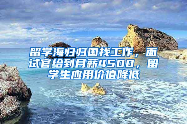 留学海归归国找工作，面试官给到月薪4500，留学生应用价值降低