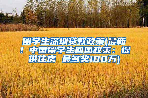 留学生深圳贷款政策(最新！中国留学生回国政策：提供住房 最多奖100万)