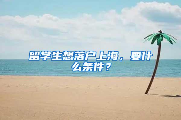 留学生想落户上海，要什么条件？