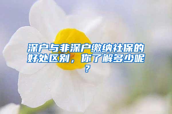 深户与非深户缴纳社保的好处区别，你了解多少呢？