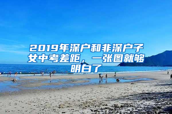 2019年深户和非深户子女中考差距，一张图就够明白了