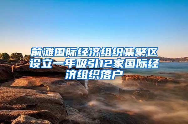 前滩国际经济组织集聚区设立一年吸引12家国际经济组织落户