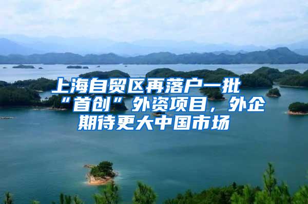 上海自贸区再落户一批“首创”外资项目，外企期待更大中国市场