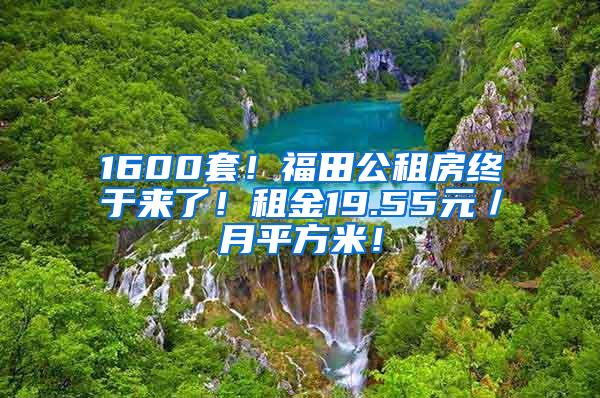 1600套！福田公租房终于来了！租金19.55元／月平方米！