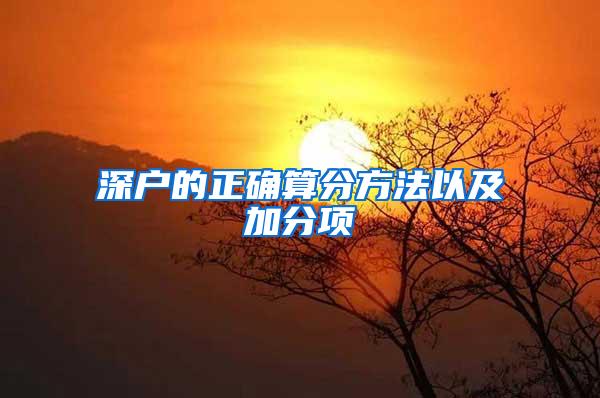 深户的正确算分方法以及加分项