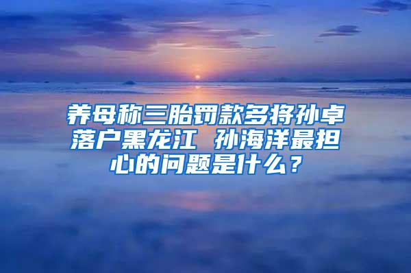 养母称三胎罚款多将孙卓落户黑龙江 孙海洋最担心的问题是什么？