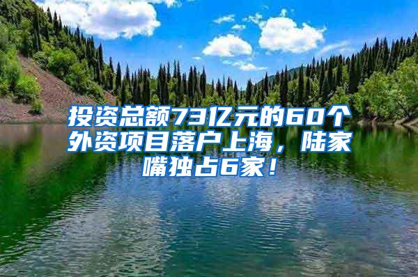 投资总额73亿元的60个外资项目落户上海，陆家嘴独占6家！