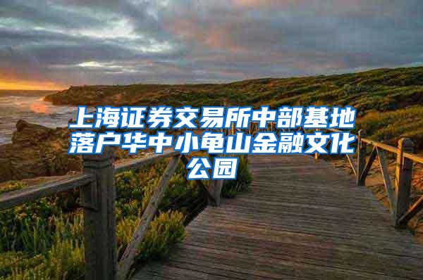 上海证券交易所中部基地落户华中小龟山金融文化公园