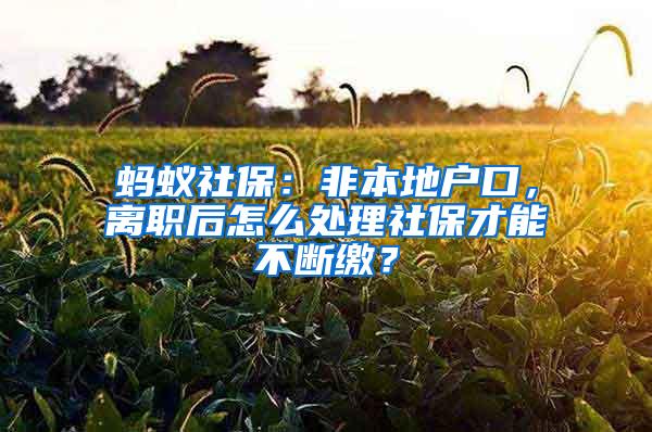 蚂蚁社保：非本地户口，离职后怎么处理社保才能不断缴？