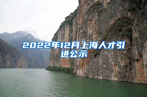 2022年12月上海人才引进公示