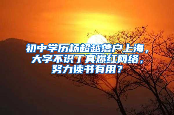 初中学历杨超越落户上海，大字不识丁真爆红网络，努力读书有用？