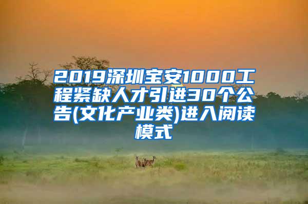 2019深圳宝安1000工程紧缺人才引进30个公告(文化产业类)进入阅读模式