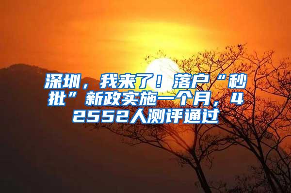 深圳，我来了！落户“秒批”新政实施一个月，42552人测评通过