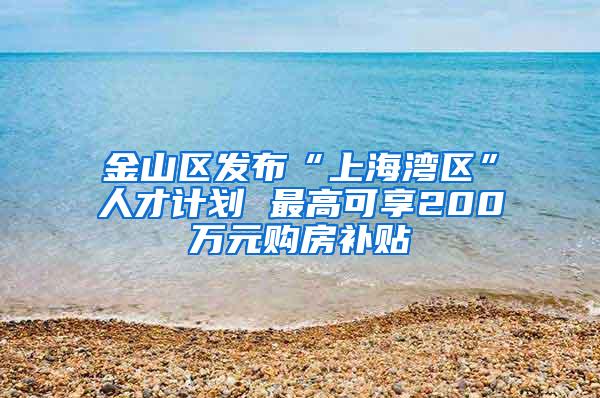 金山区发布“上海湾区”人才计划 最高可享200万元购房补贴