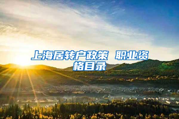 上海居转户政策 职业资格目录
