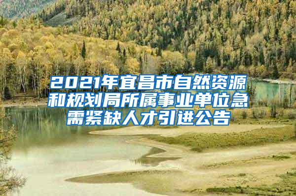 2021年宜昌市自然资源和规划局所属事业单位急需紧缺人才引进公告