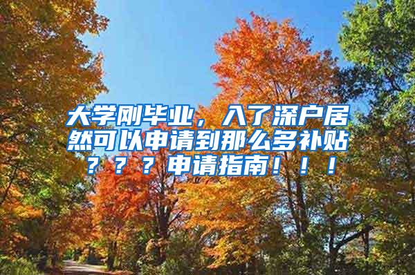 大学刚毕业，入了深户居然可以申请到那么多补贴？？？申请指南！！！