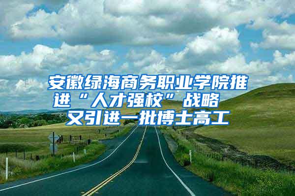 安徽绿海商务职业学院推进“人才强校”战略  又引进一批博士高工