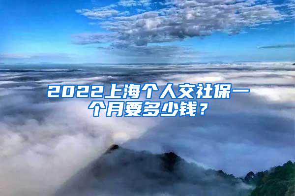 2022上海个人交社保一个月要多少钱？