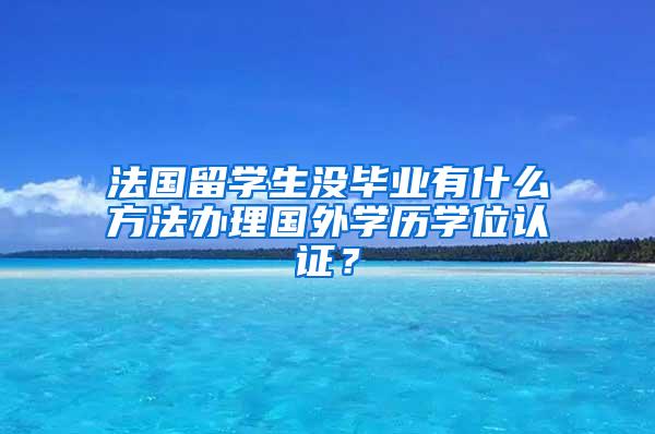 法国留学生没毕业有什么方法办理国外学历学位认证？