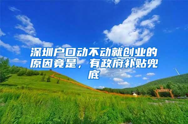 深圳户口动不动就创业的原因竟是，有政府补贴兜底