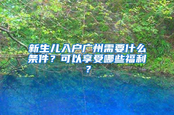 新生儿入户广州需要什么条件？可以享受哪些福利？