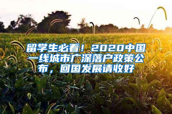 留学生必看！2020中国一线城市广深落户政策公布，回国发展请收好