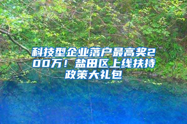 科技型企业落户最高奖200万！盐田区上线扶持政策大礼包