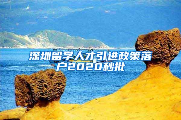 深圳留学人才引进政策落户2020秒批