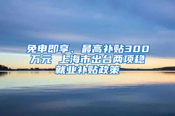 免申即享、最高补贴300万元 上海市出台两项稳就业补贴政策