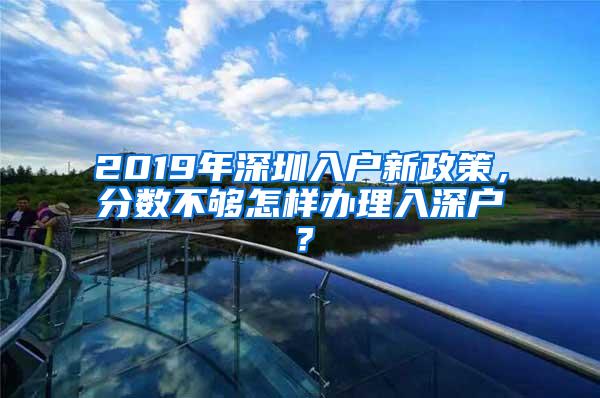 2019年深圳入户新政策，分数不够怎样办理入深户？