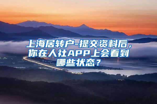 上海居转户-提交资料后，你在人社APP上会看到哪些状态？