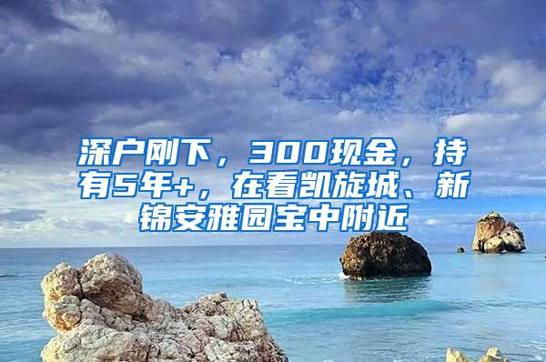 深户刚下，300现金，持有5年+，在看凯旋城、新锦安雅园宝中附近