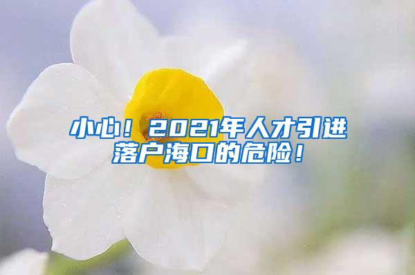 小心！2021年人才引进落户海口的危险！