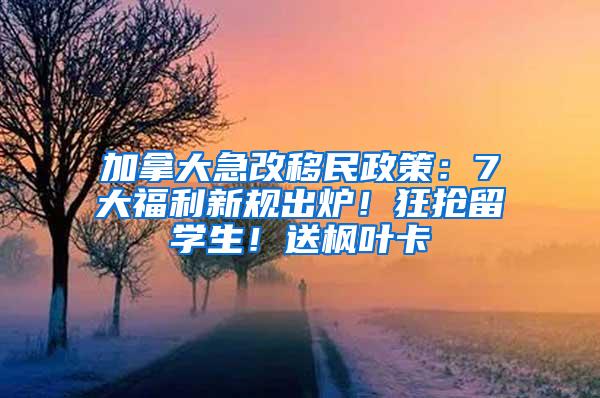 加拿大急改移民政策：7大福利新规出炉！狂抢留学生！送枫叶卡