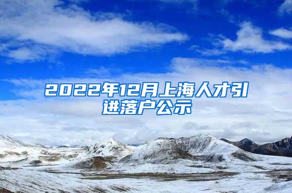 2022年12月上海人才引进落户公示