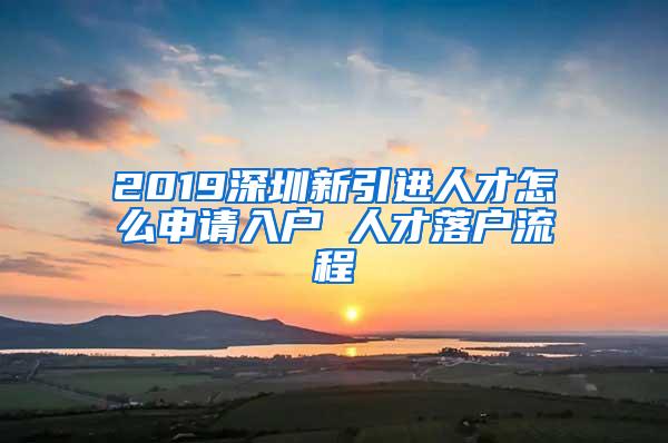 2019深圳新引进人才怎么申请入户 人才落户流程