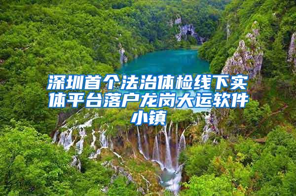 深圳首个法治体检线下实体平台落户龙岗大运软件小镇