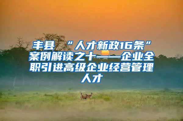 丰县 “人才新政16条”案例解读之十——企业全职引进高级企业经营管理人才