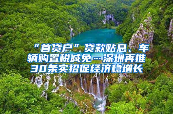 “首贷户”贷款贴息、车辆购置税减免…深圳再推30条实招促经济稳增长