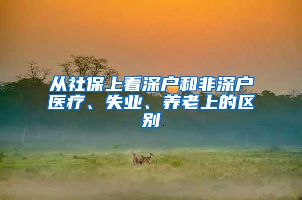 从社保上看深户和非深户医疗、失业、养老上的区别