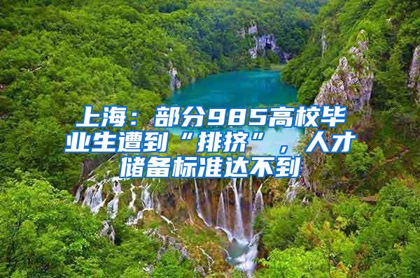 上海：部分985高校毕业生遭到“排挤”，人才储备标准达不到