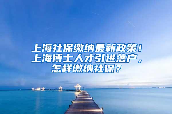 上海社保缴纳最新政策！上海博士人才引进落户，怎样缴纳社保？