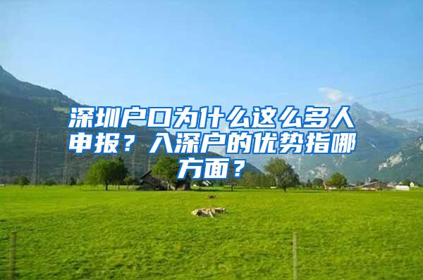 深圳户口为什么这么多人申报？入深户的优势指哪方面？