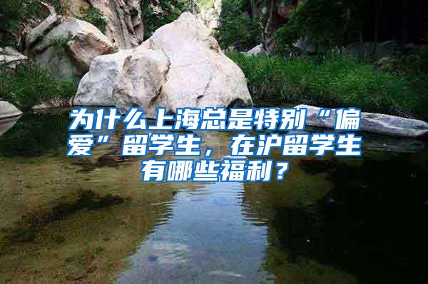 为什么上海总是特别“偏爱”留学生，在沪留学生有哪些福利？