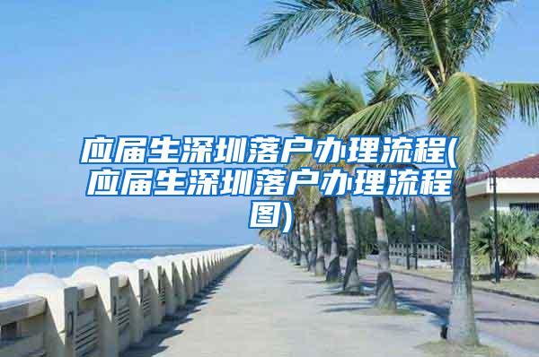 应届生深圳落户办理流程(应届生深圳落户办理流程图)