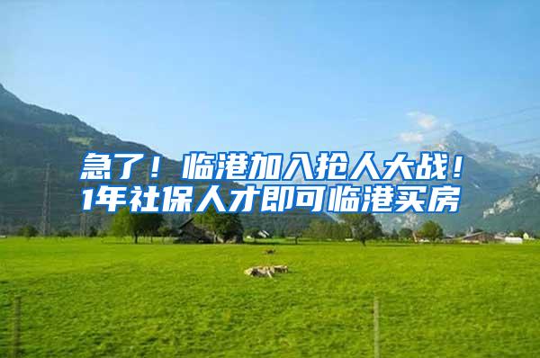 急了！临港加入抢人大战！1年社保人才即可临港买房