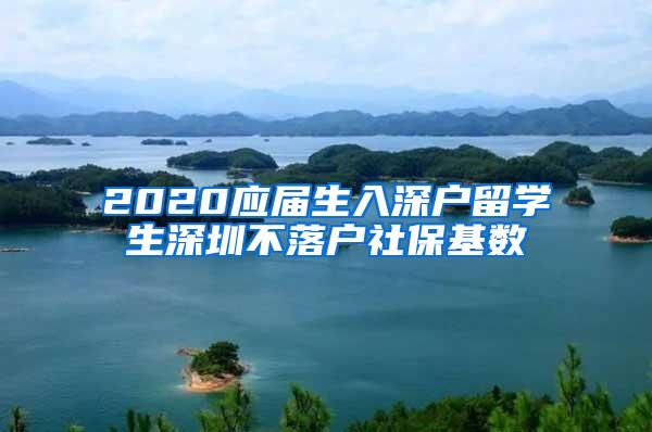 2020应届生入深户留学生深圳不落户社保基数