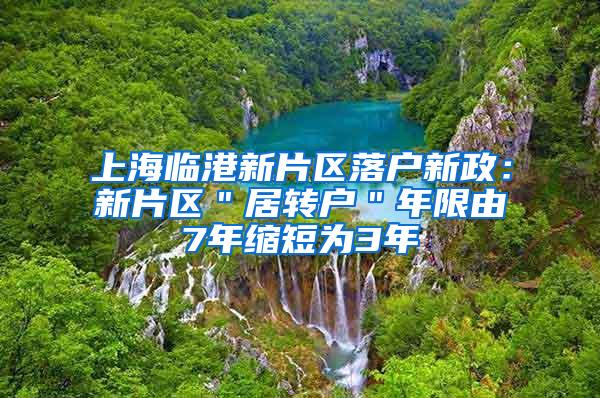 上海临港新片区落户新政：新片区＂居转户＂年限由7年缩短为3年